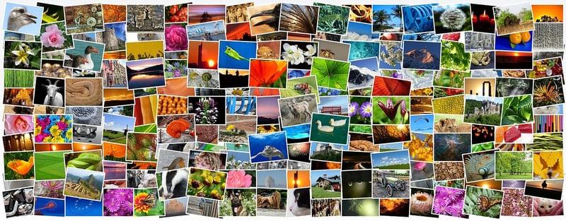 DIY Photo Collage