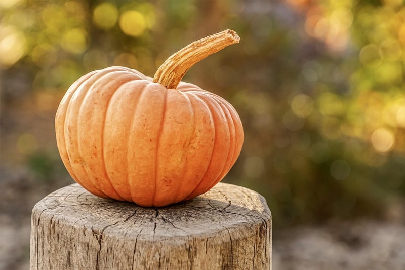 Pumpkin Centerpieces